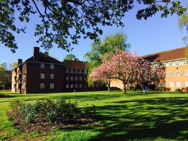 North Finchley - Beautiful, Friendly , Sunny Flat - student accommodation in North Finchley - img_8