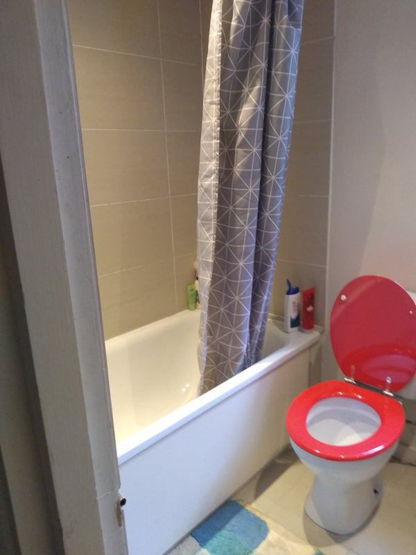 Professional  female   looking  for  a  housemate - student accommodation in Clapham Junction - img_5