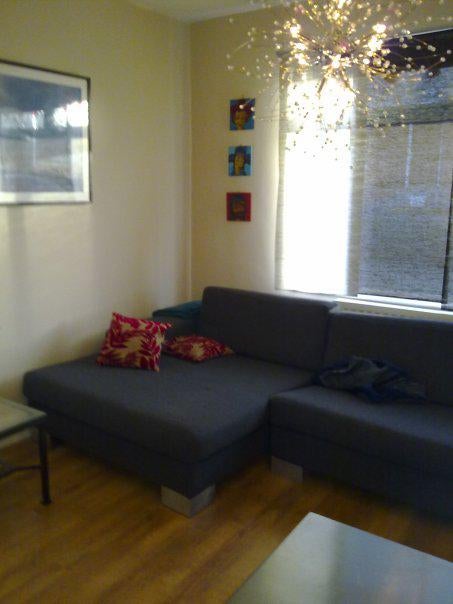 Room for postgrad in friendly house from Jan 2025 - student accommodation in Durham - img_1