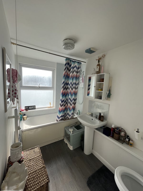 Room to rent in the heart of Kemptown - student accommodation in Kemptown - img_6
