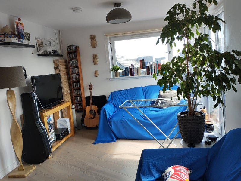 Short Term Accomodation - student accommodation in Edinburgh - img_3