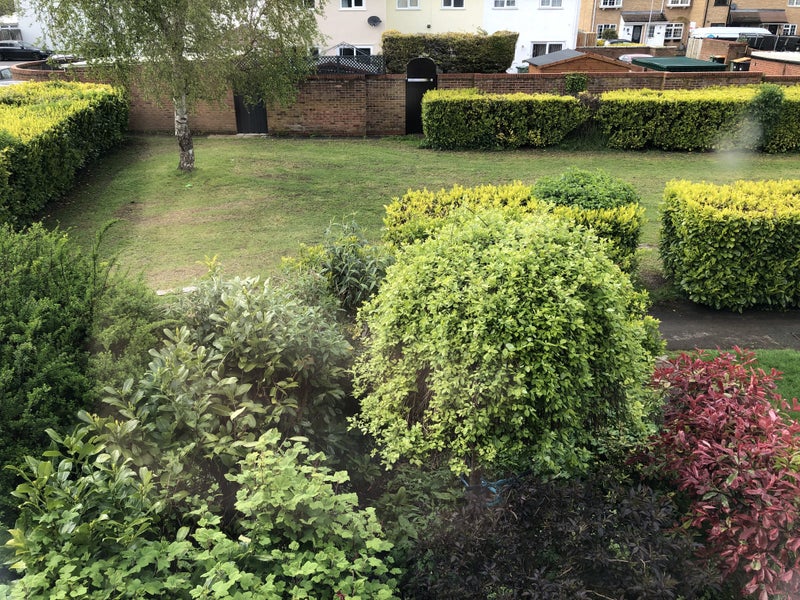 Single room in quiet, cosy home - student accommodation in Houghton Regis - img_8