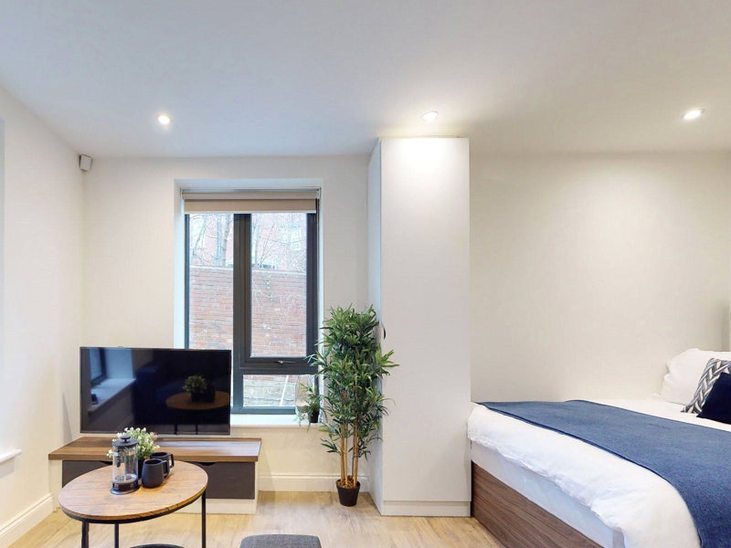 Studio flat - Ideal for students/professionals - student accommodation in Leeds City Centre - img_3