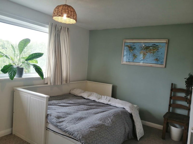 Two bedrooms in a house with garden - student accommodation in Falmouth - img_7