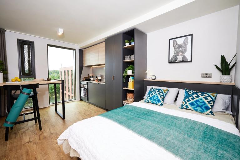 Comfy studio next to Cannon Hill Park - student accommodation in Birmingham - img_16