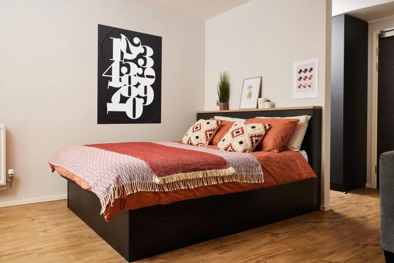 Comfy studio next to Cannon Hill Park - student accommodation in Birmingham - img_19