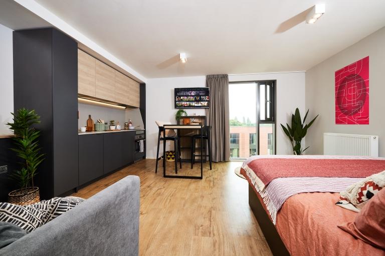 Comfy studio next to Cannon Hill Park - student accommodation in Birmingham - img_22
