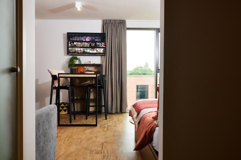 Comfy studio next to Cannon Hill Park - student accommodation in Birmingham - img_23