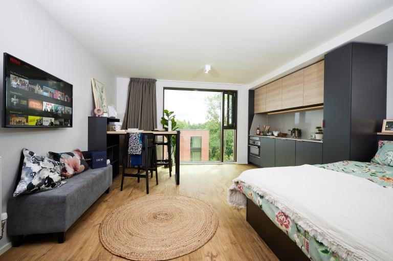 Comfy studio next to Cannon Hill Park - student accommodation in Birmingham - img_27