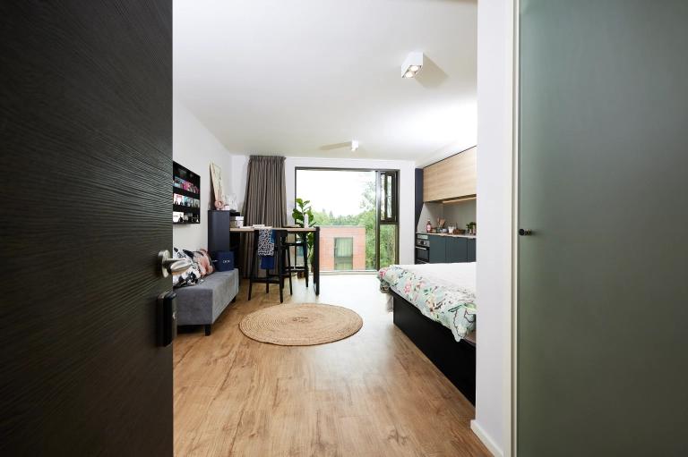 Comfy studio next to Cannon Hill Park - student accommodation in Birmingham - img_31