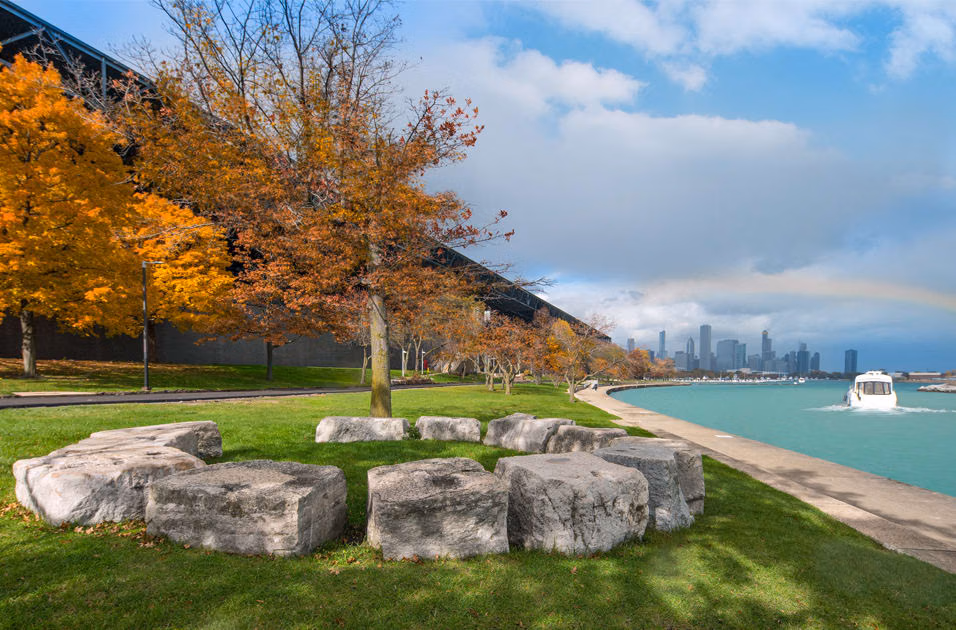 Eden Commons - student accommodation in Chicago - img_33