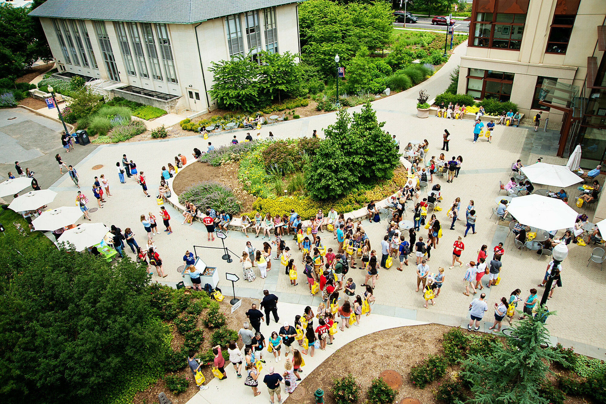American University American University