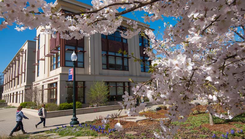 American University American University