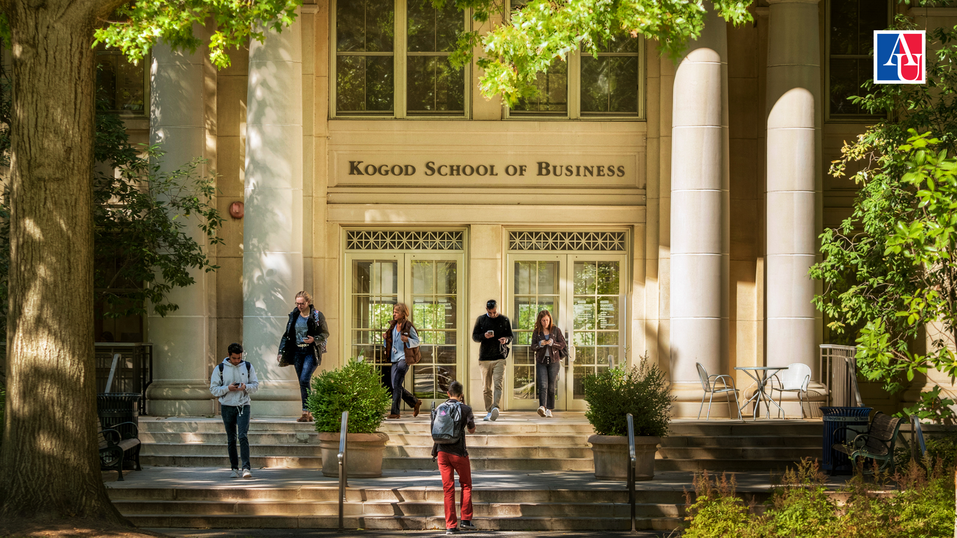 American University American University
