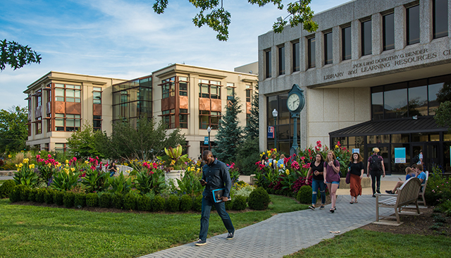 American University American University