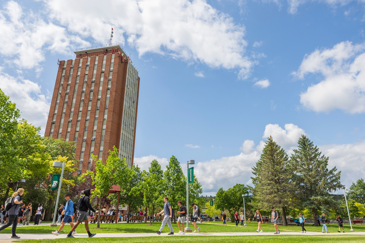 Binghamton University Binghamton University
