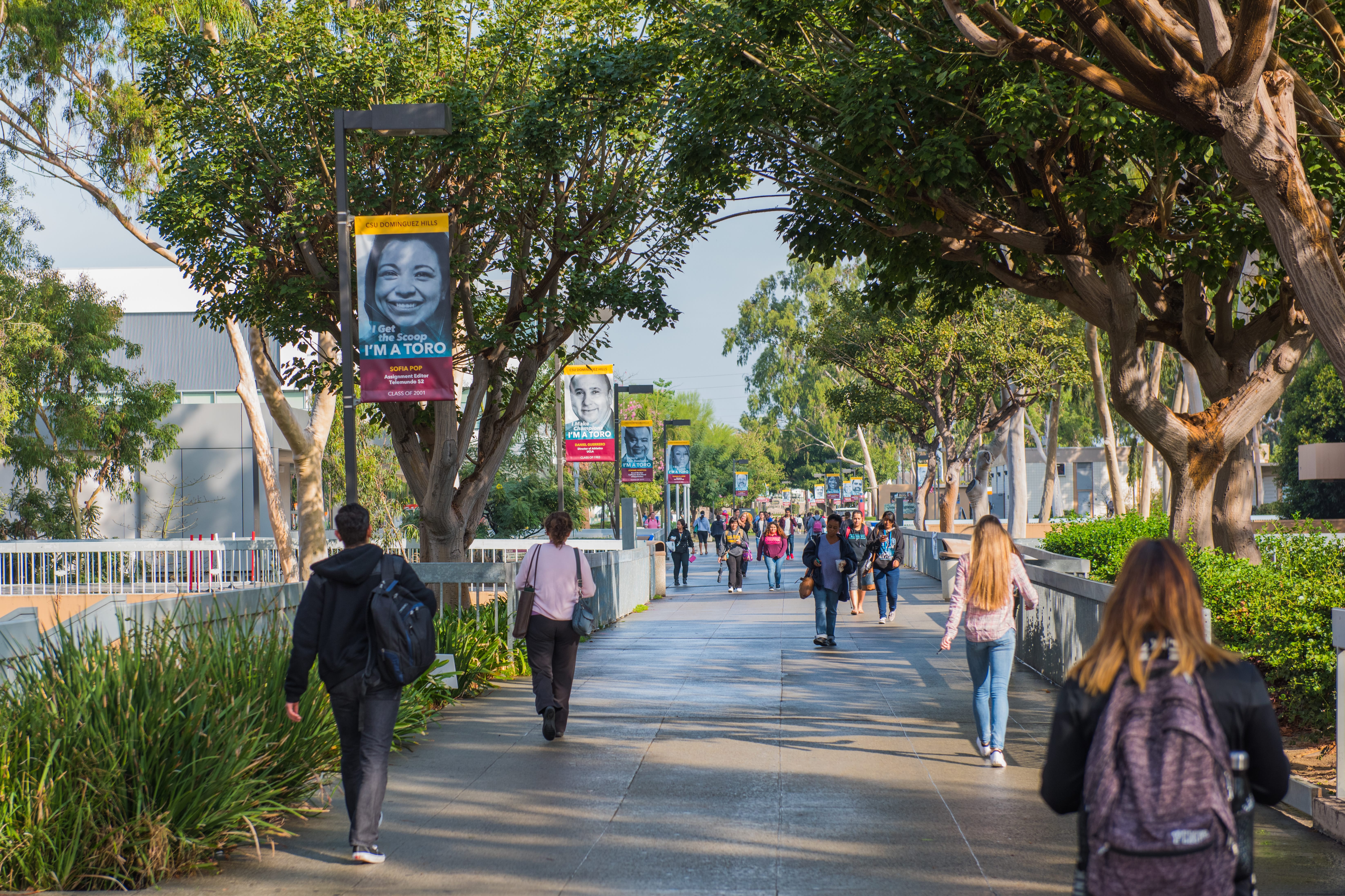 California State University Dominguez Hills California State University Dominguez Hills