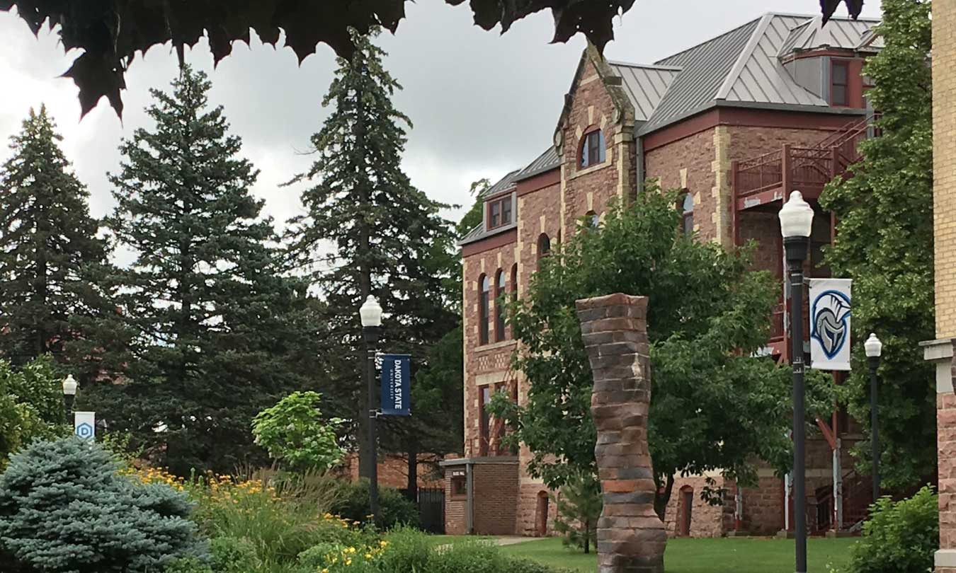Dakota State University Dakota State University