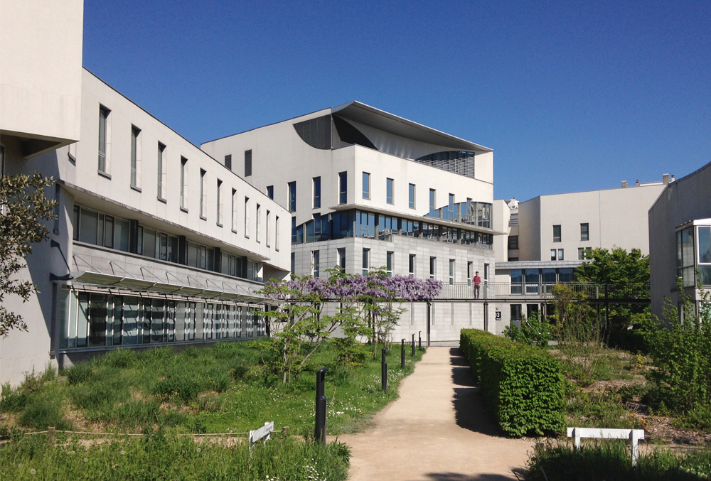 École Normale Supérieure de Lyon École Normale Supérieure de Lyon