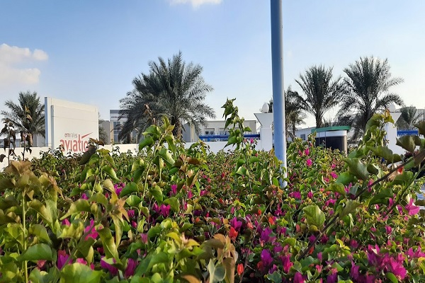 Emirates Aviation University Emirates Aviation University