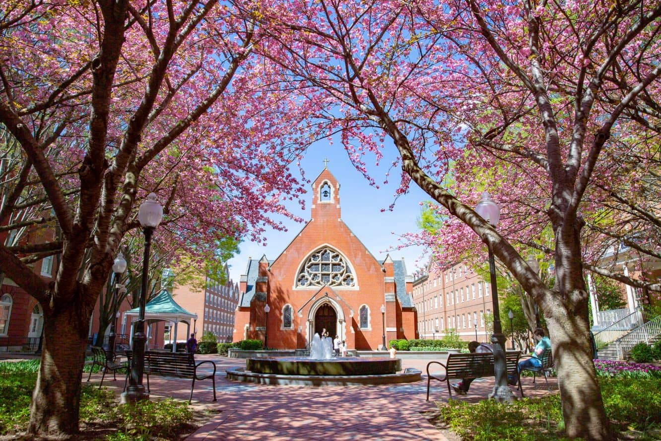 Georgetown University Georgetown University