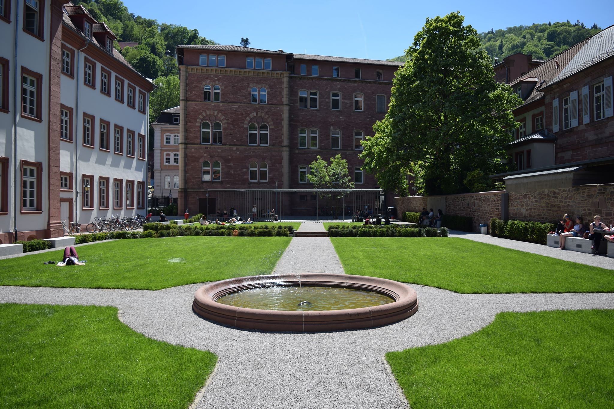 heidelberg university heidelberg university