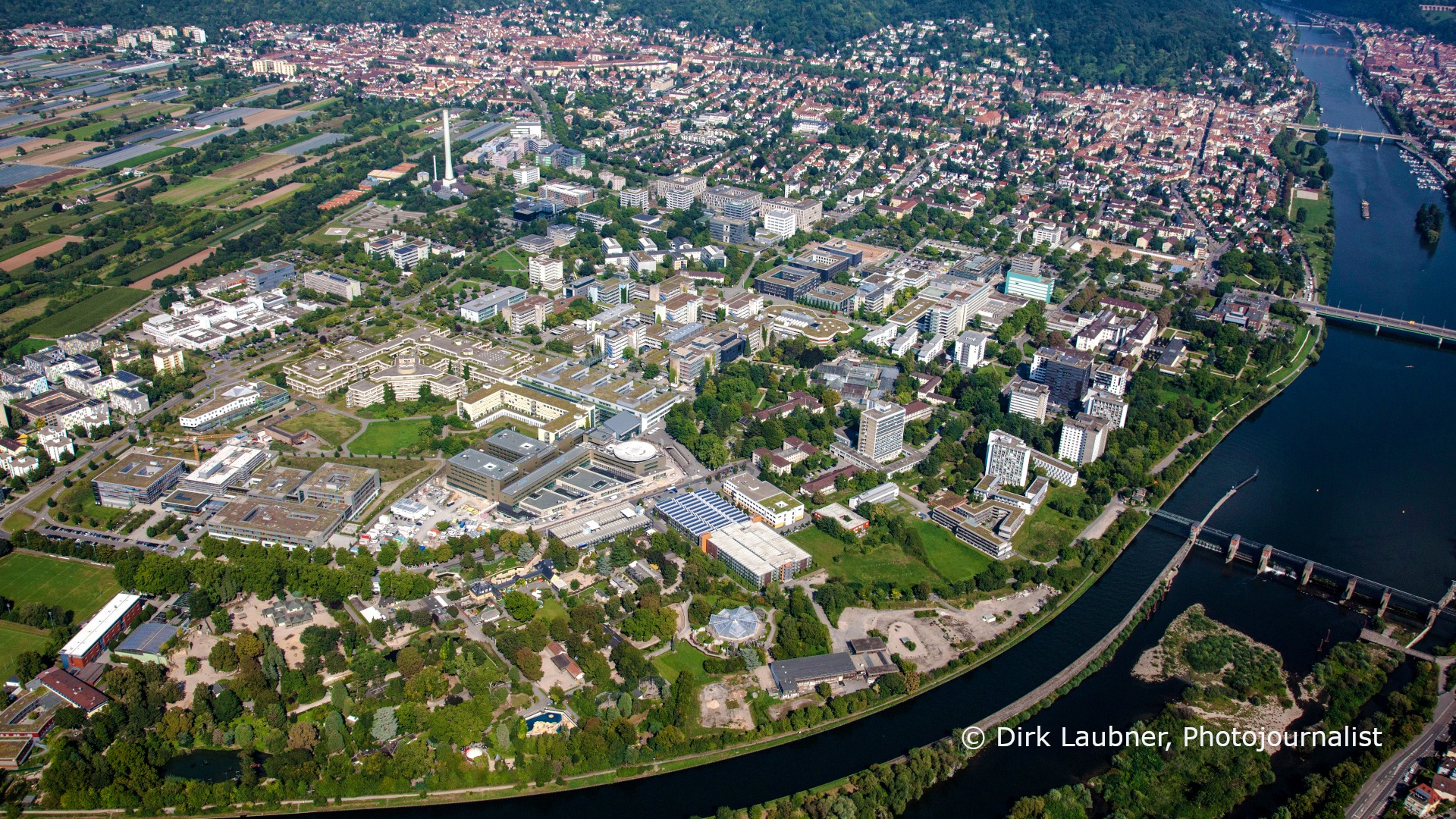 heidelberg university heidelberg university
