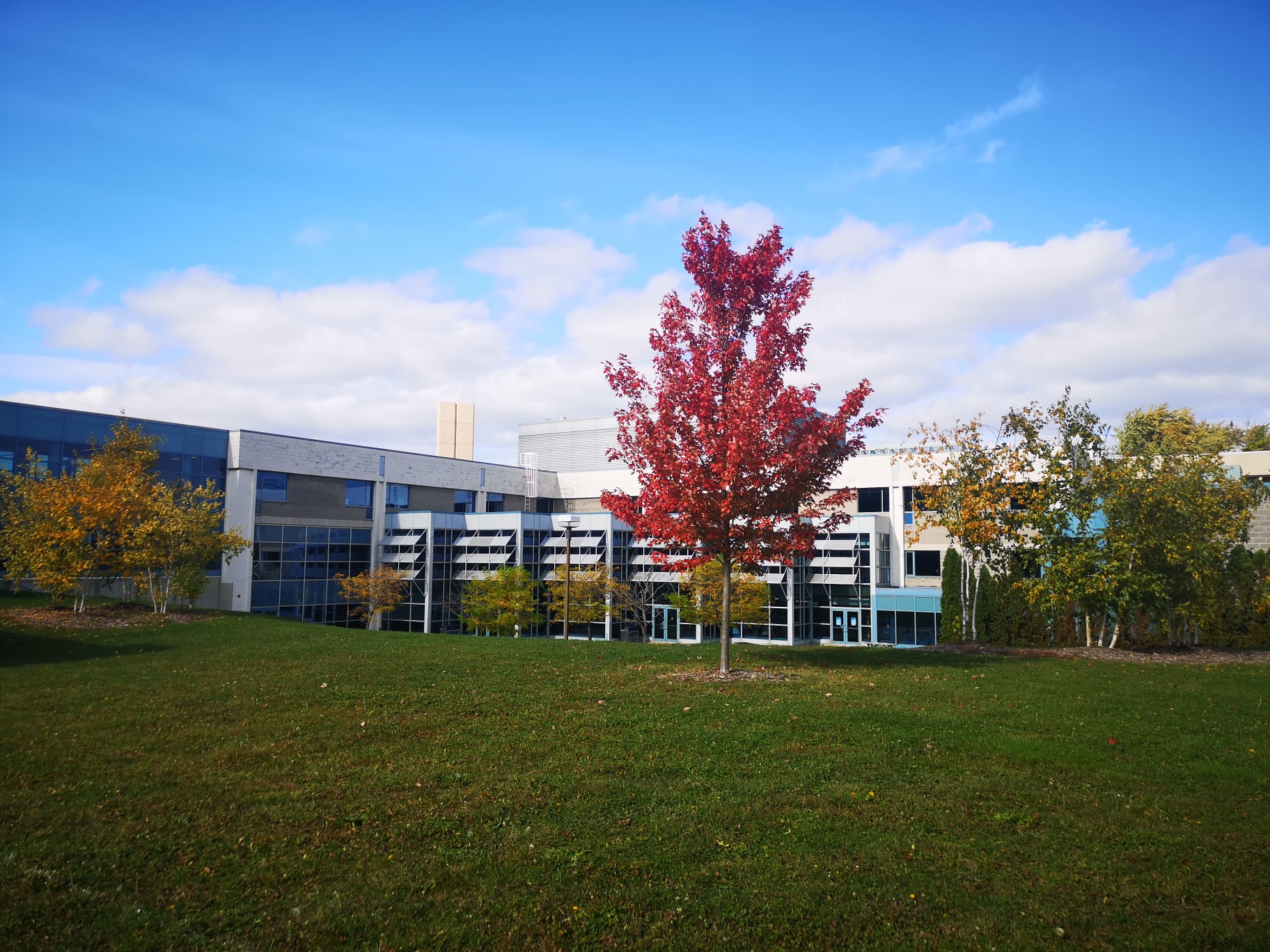 Lambton College Lambton College