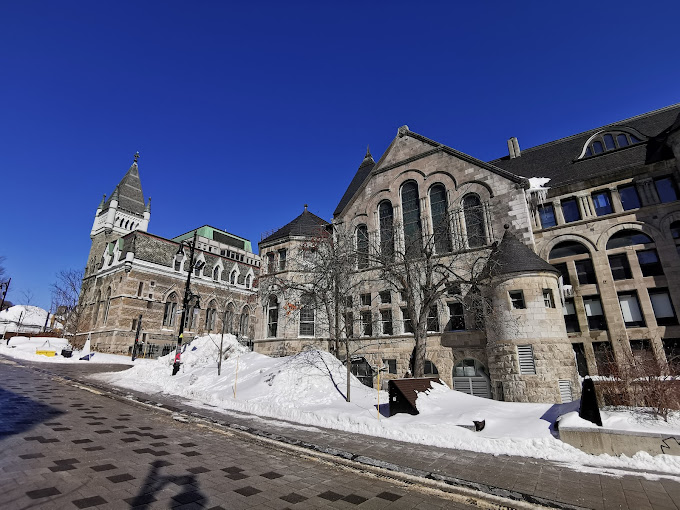 McGill University McGill University