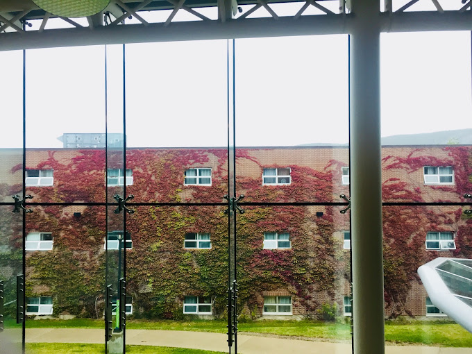 Memorial University of Newfoundland, Grenfell Campus Memorial University of Newfoundland, Grenfell Campus