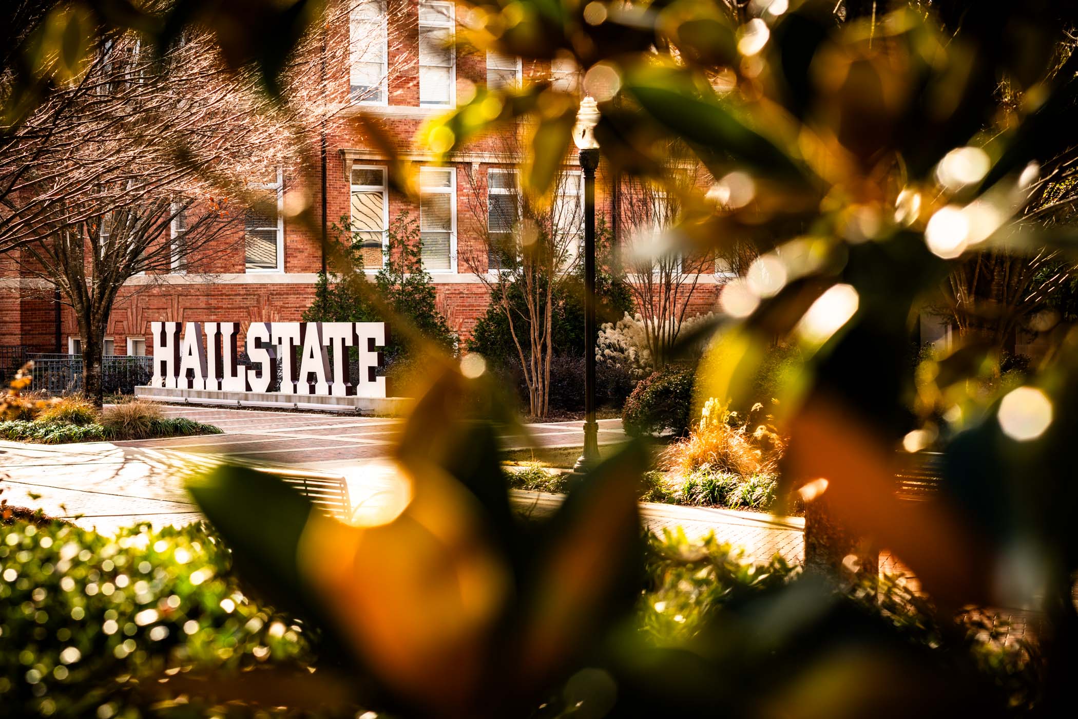 Mississippi State UniversityMississippi State University Mississippi State University