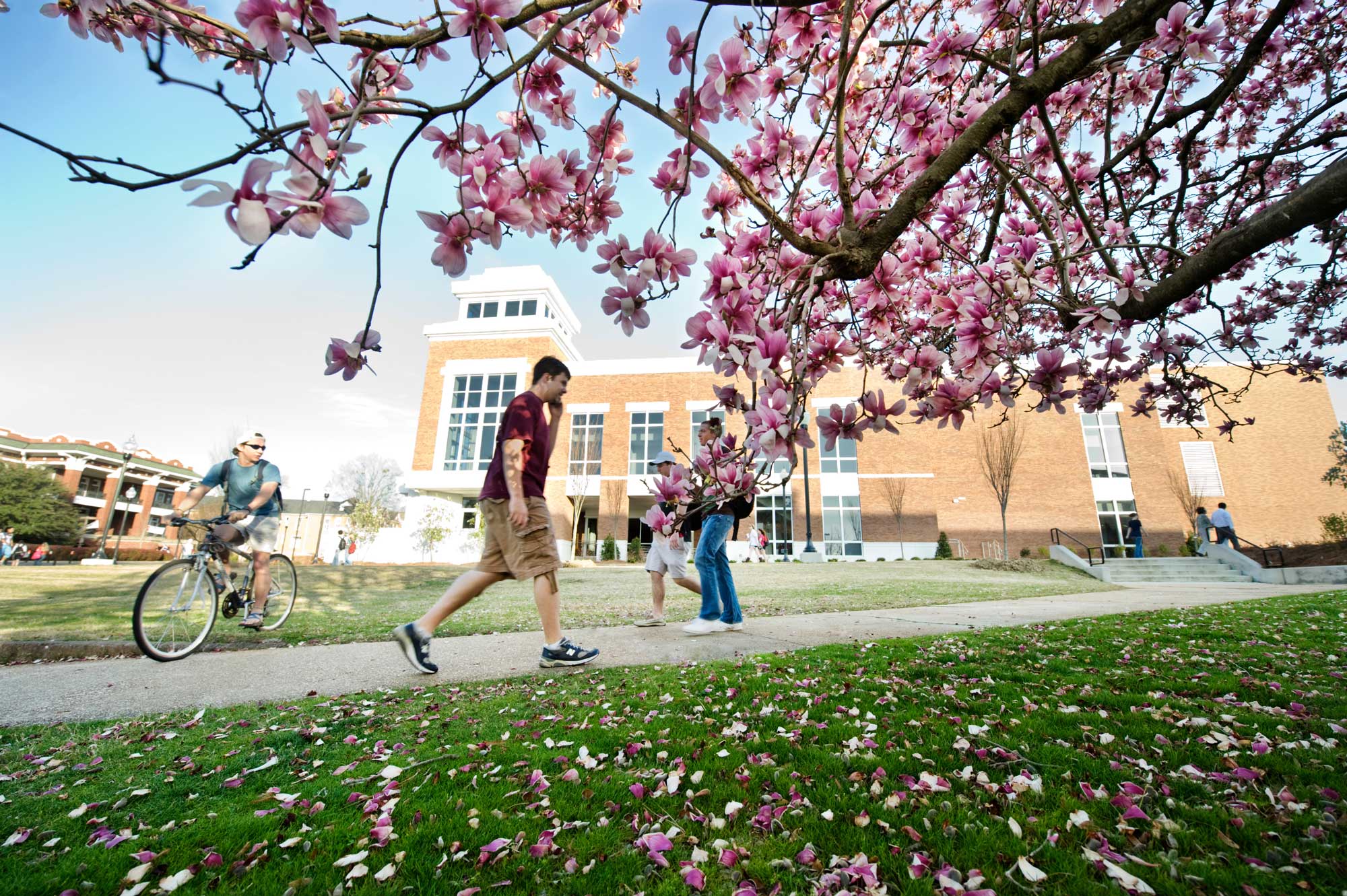 Mississippi State University Mississippi State University