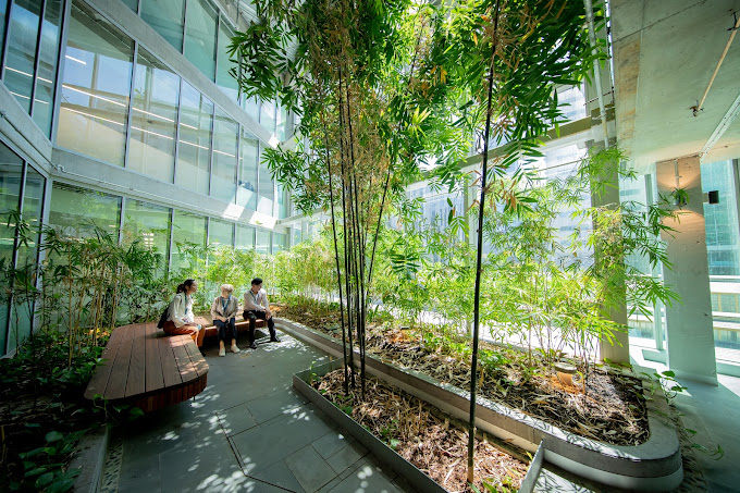 Monash College Monash College