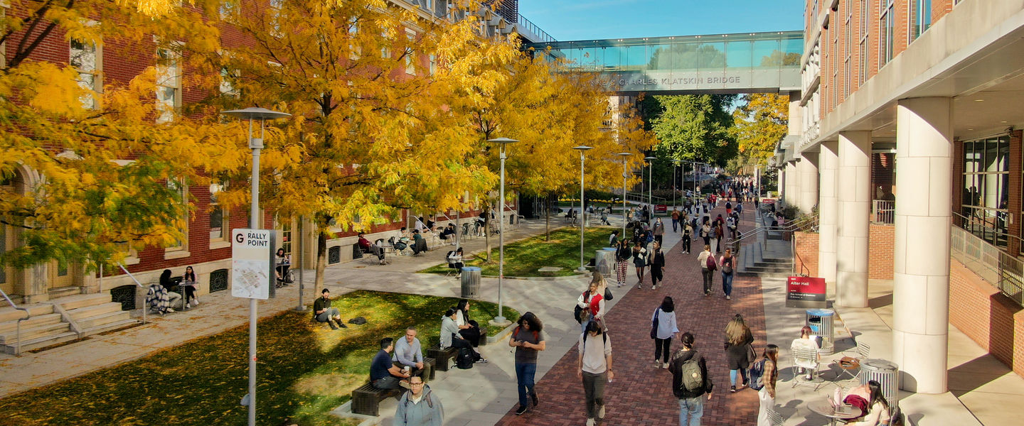 Temple University - USA Temple University - USA