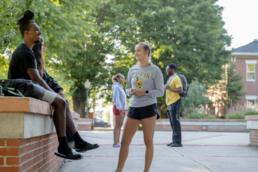 Tiffin University Tiffin University
