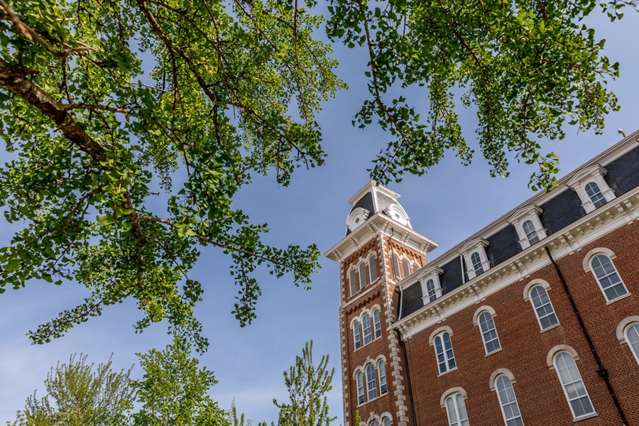 University of Arkansas University of Arkansas