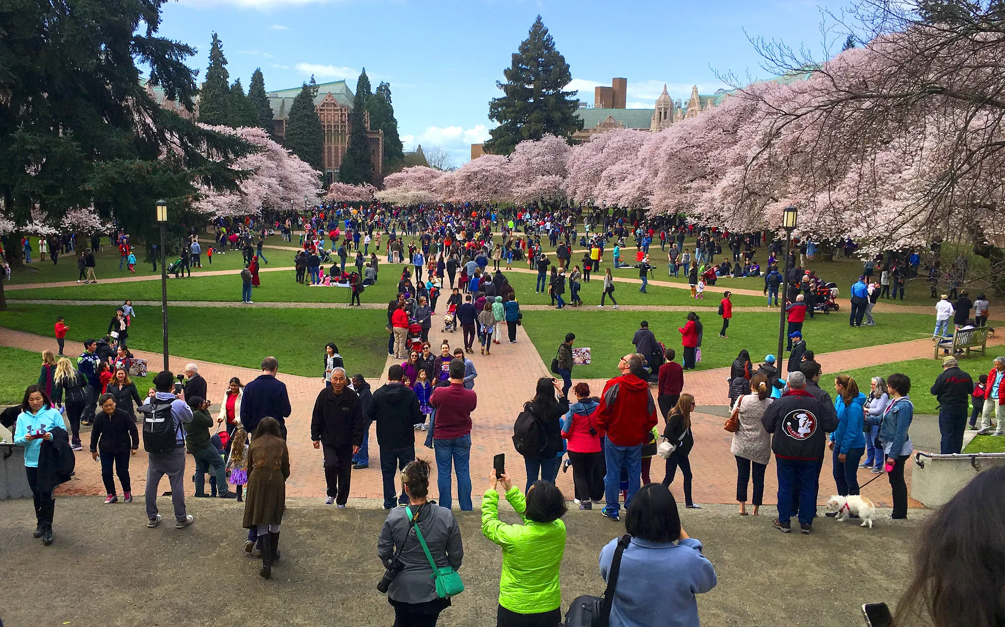 University of Washington University of Washington
