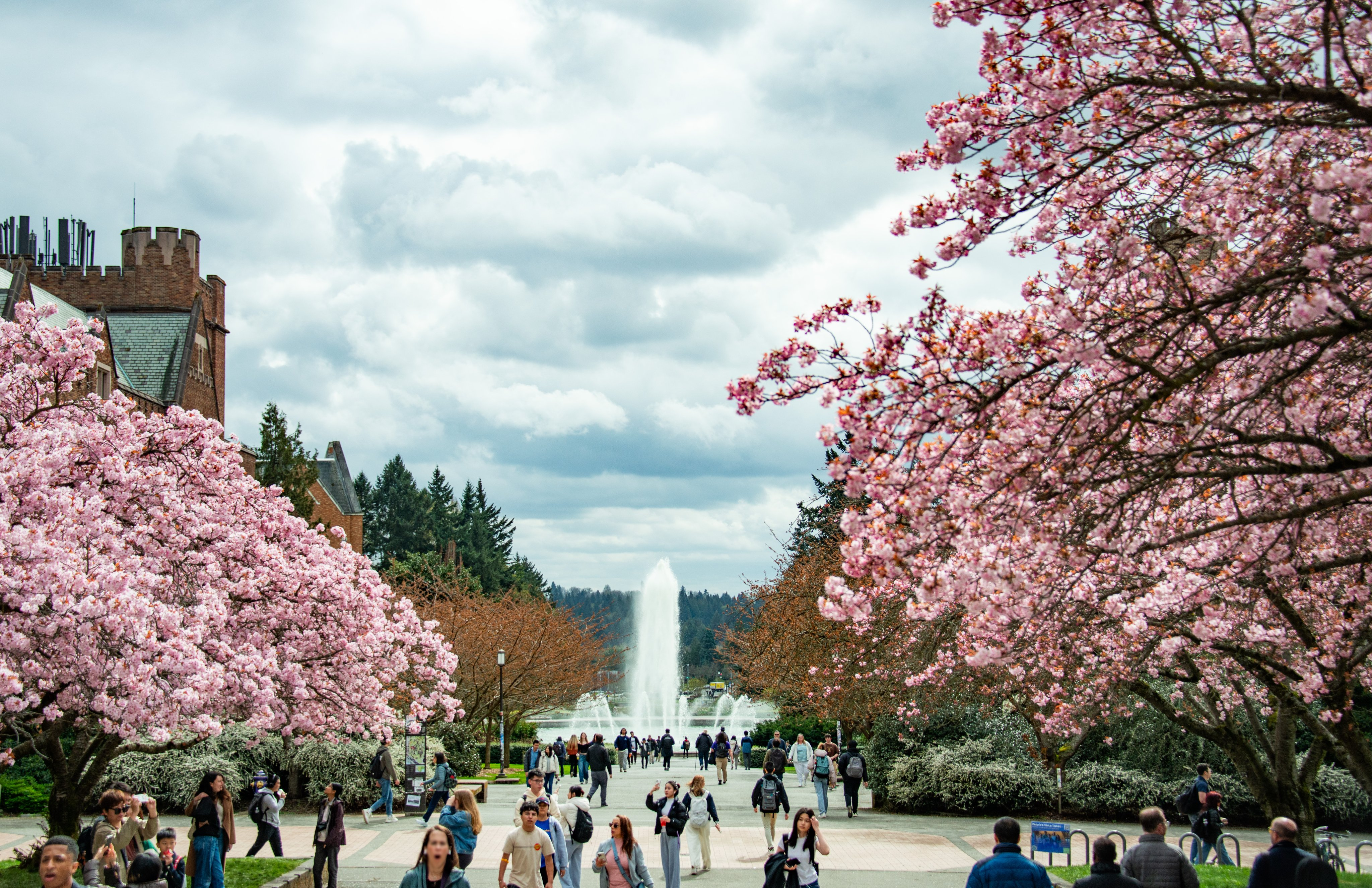 University of Washington University of Washington