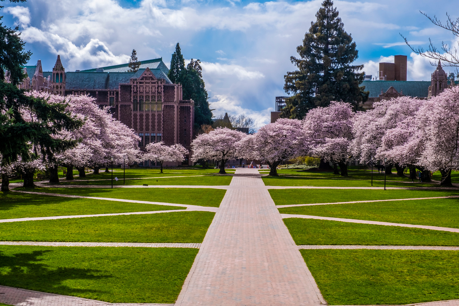 University of Washington University of Washington